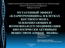 Мутагенный эффект «Кларитромицина» в клетках костного мозга млекопитающих