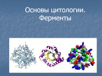 Основы цитологии. Ферменты