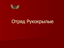 Отряд Рукокрылые