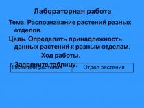 Распознавание растений разных отделов.