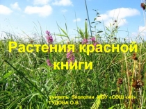 Растения красной книги