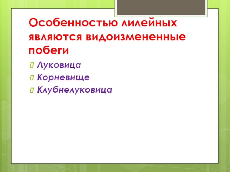 Семейства лилейные видоизмененный побег. Лилейные характеристика. Семейство Лилейные особенности. Лилейные имеют корневище и луковицу.