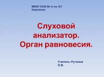 Слуховой анализатор. Орган равновесия.