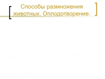 Способы размножения животных. Оплодотворение.