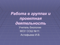 Работа в группах и проектная деятельность