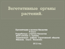 Вегетативные органы растений.