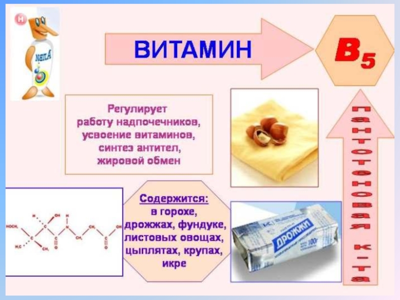 Презентация витамин b5