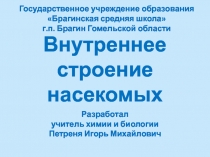 Внутреннее строение насекомых