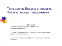  Высшие споровые. Плауны, хвощи, папоротники