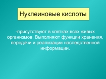 Нуклеиновые кислоты