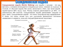 Скандинавская ходьба (Nordic Walking)
