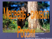 Медведь - символ России