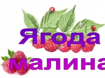 Ягода малина