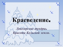 Краеведение.  Ловозерские тундры. Красота Кольской земли.