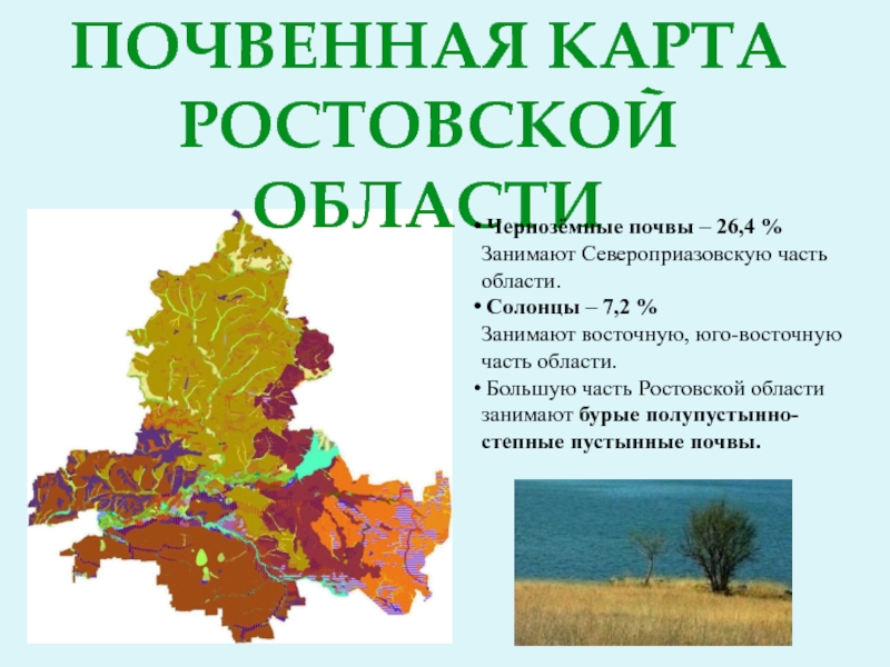 Почвенная карта ростовской области Чернозёмные почвы – 26,4 % Занимают Североприазовскую часть области. Солонцы – 7,2 %