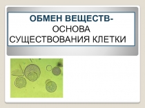 Метаболизм