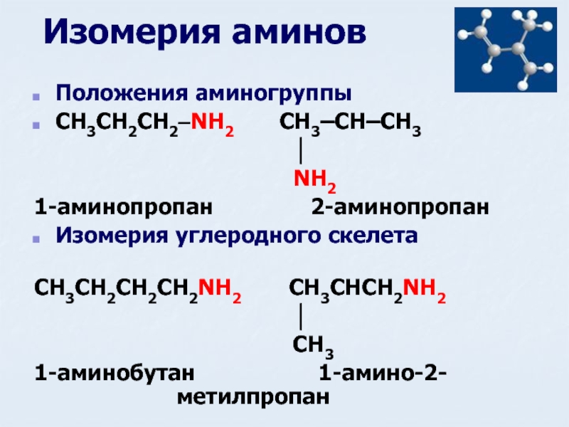 Изомерия аминовПоложения аминогруппыCH3CH2CH2–NH2    CH3–CH–CH3