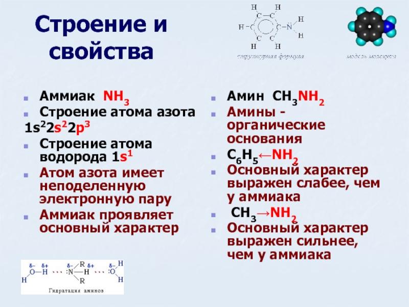Строение и свойстваАммиак NH3 Строение атома азота 1s22s22p3 Строение атома водорода 1s1Атом азота имеет неподеленную электронную пару