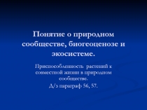 Природное сообщество, биогеоценоз и экосистема