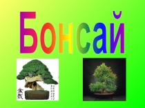 Бонсай