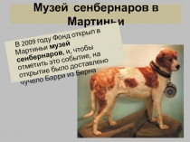 Музей сенбернаров в Мартиньи