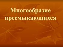 Знакомство с многообразием пресмыкающихся