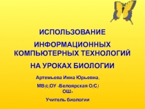 Использование информационных компьютерных технологий