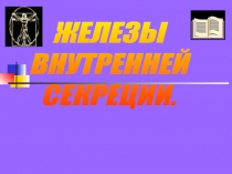 Железы внутренней секреции