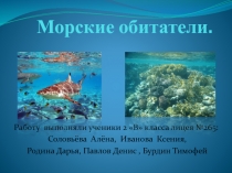 Морские обитатели