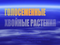 Голосеменные хвойные растения