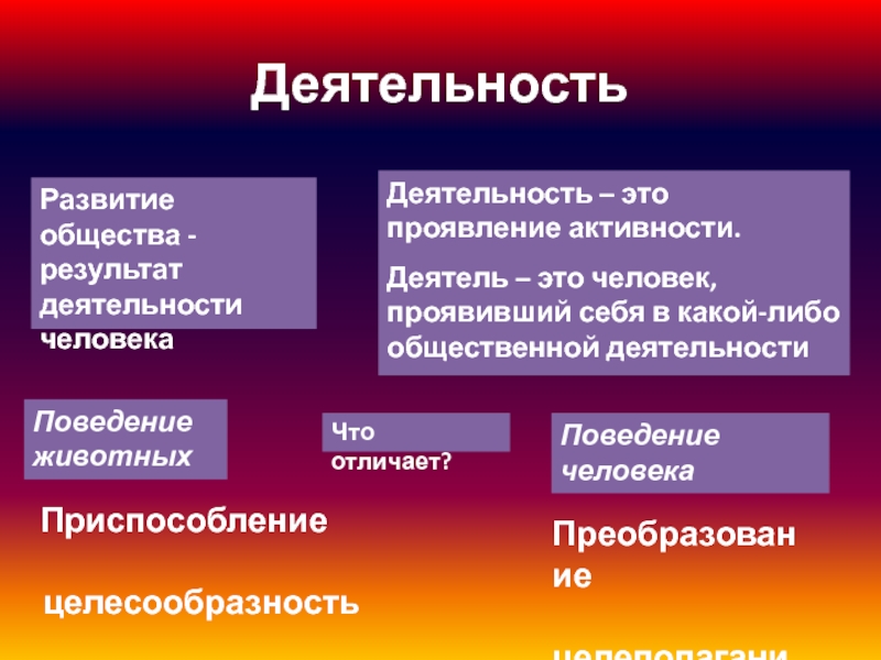 Как проявляется деятельность человека. Примеры приспособленности человека. Политическая сфера деятельности итог итоги Обществознание.