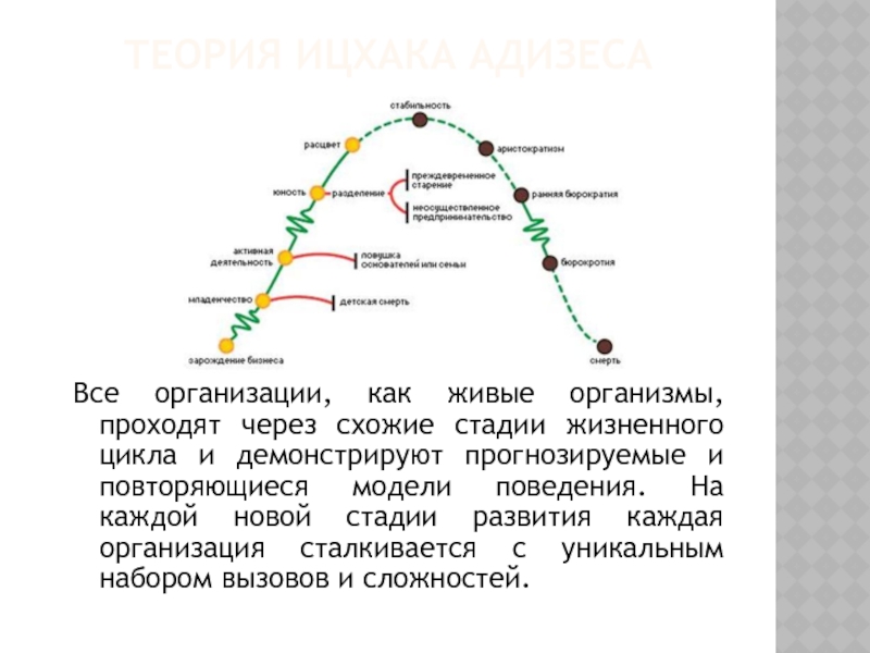 Модель и адизеса презентация