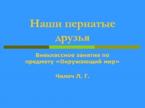 Наши пернатые друзья