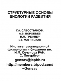 Структурные основы биологии развития