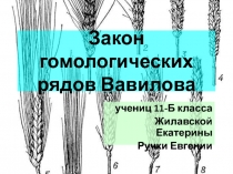 Закон гомологических рядов Вавилова