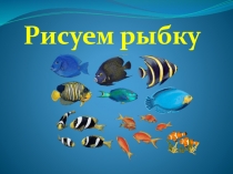 Рисуем рыбку