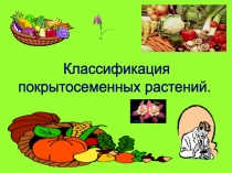 Классификация покрытосеменных растений