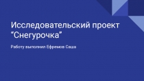 Исследовательский проект “Снегурочка”