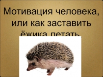 Мотивация труда на предприятиях СКСиТ