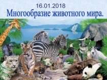 Многообразие животного мира.