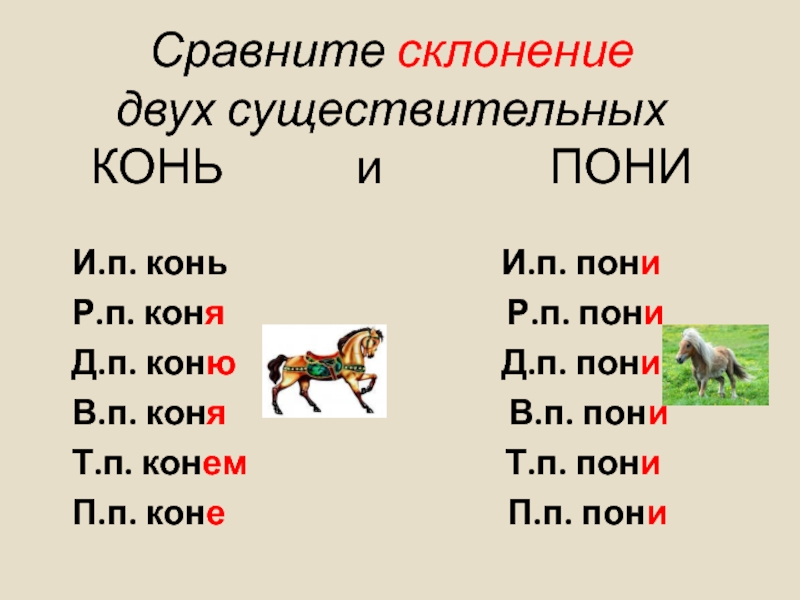 Несколько существительных. Склонение существительных лошадь и лошадка. Склонение существительных конь. Просклонять 2 склонением конь. Склонение существительного лошадей.