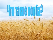 Что такое полба?