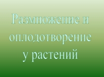 Размножение и оплодотворение у растений