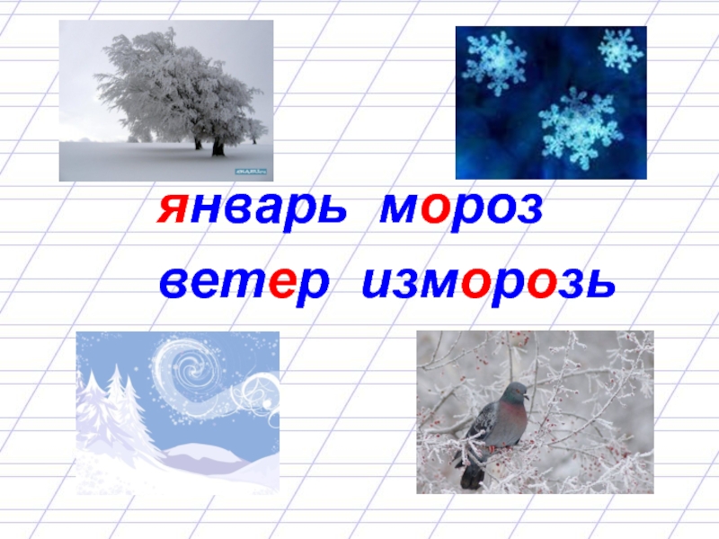 Январский ветер. Мороз и ветер. Ветер Мороз рисунки. Изморозь предложение. Январь, ветер, Мороз картинки.