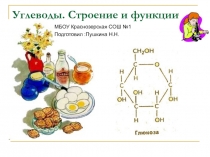 Углеводы. Строение и функции