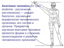 Анатомия человека