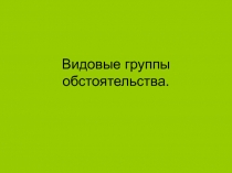 Видовые группы обстоятельства