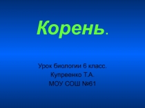 Корень