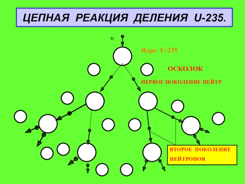 Цепная реакция деления. Виды цепных реакций. Могучая четверка цепная реакция. Динамика самоподерживпющей реакции деления.