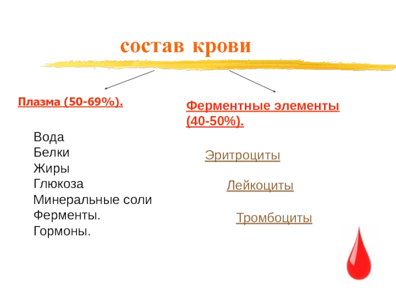 Минеральные соли ферменты. Состав плазмы крови белок Глюкоза жир ДНК.